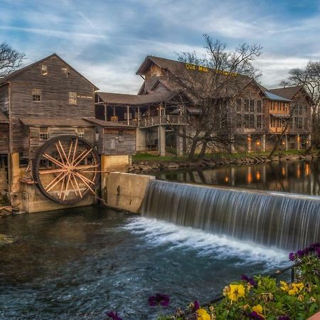 Evening Shade Shady Grove Exterior foto